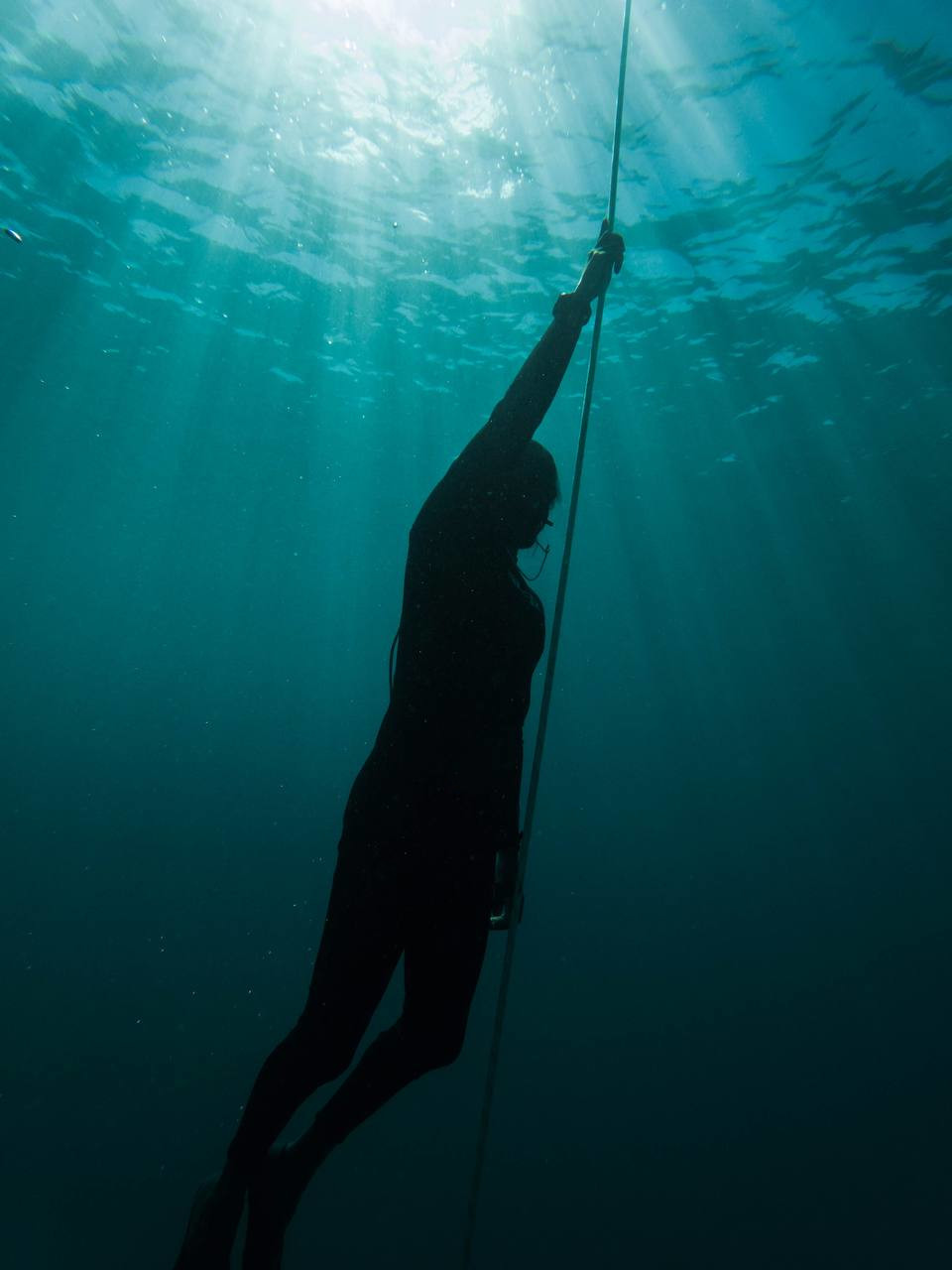 Freediving Courses Bali