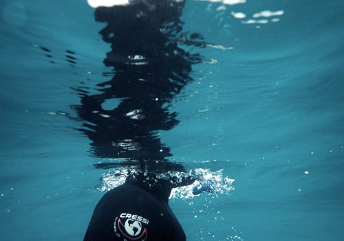 OI000005-scaled.jpg Freediving Courses Bali